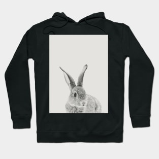 Rabbit 30 Hoodie